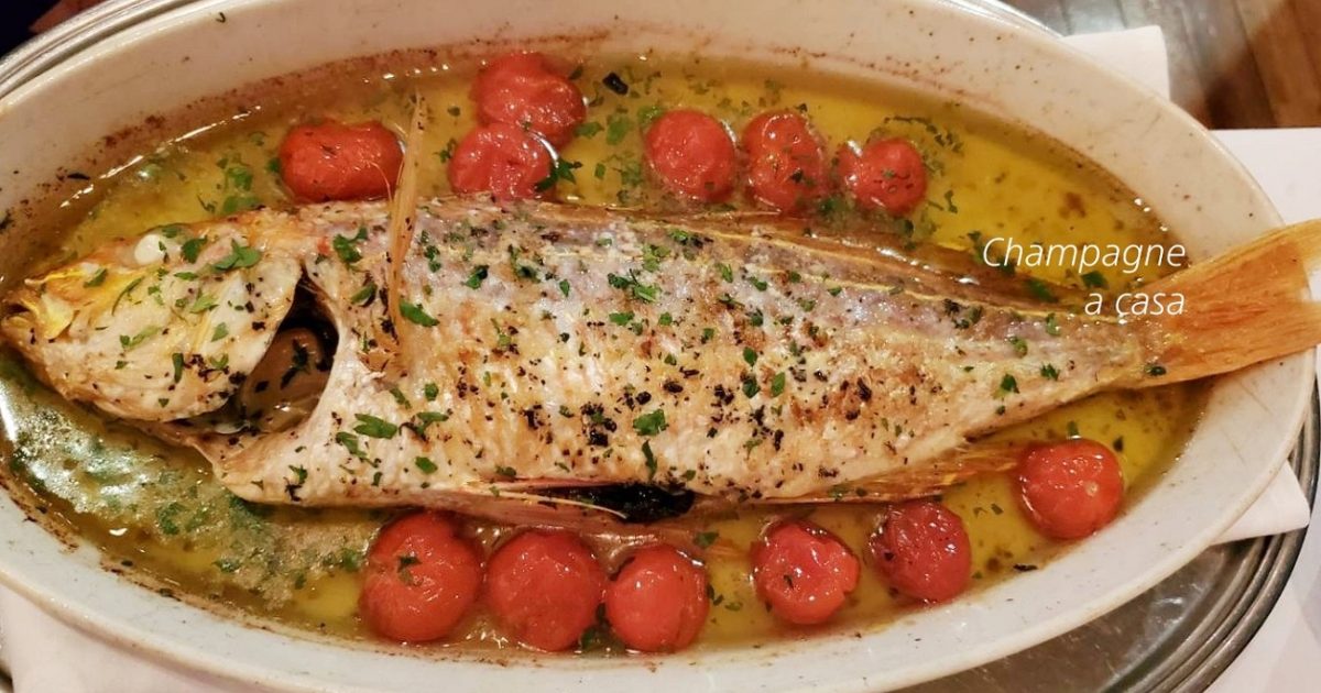 La scogliera 魚画像１